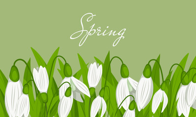 Banner with Snowdrop icons isolated on green background. Spring time