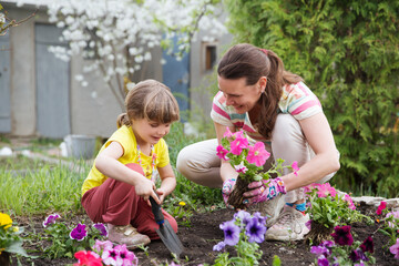 mother and child daughter plant flowers in the garden near the houme on spring day. Kid help mom...