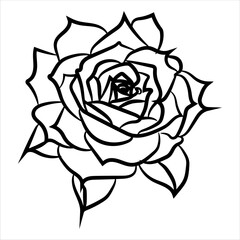  Illustration of a beautiful, lovely and cute Rose's Line Art Black Color