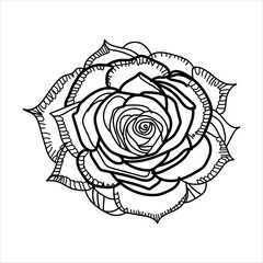 Illustration of a beautiful, lovely and cute Rose Color Books Line Artwork Black and white