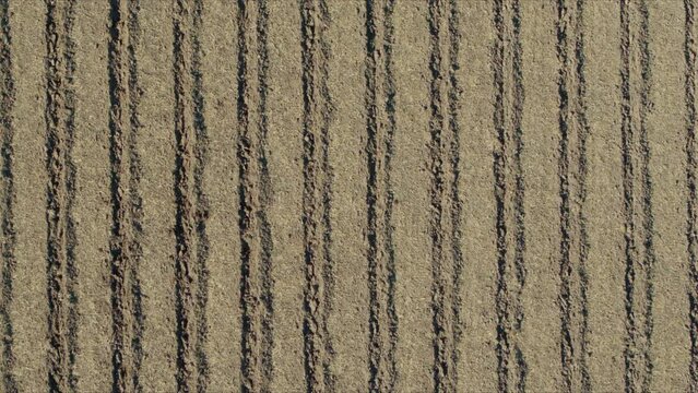 Aerial top down, plowed soil for planting in an agricultural farn field