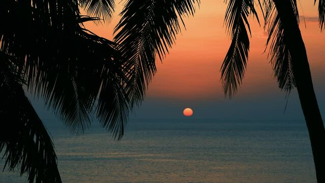 Beautiful orange sunset over the sea with coco palm on the beach in exotic island.
