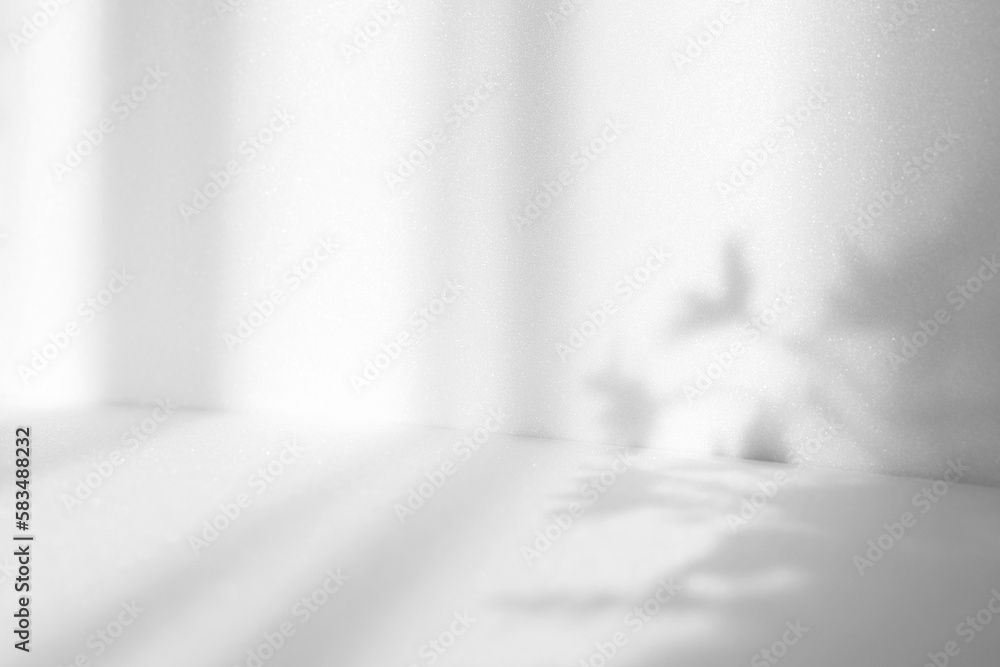 Poster Abstract white studio background for product presentation. Empty room with shadows of window and flowers and palm leaves . 3d room with copy space. Summer concert. Blurred backdrop.
