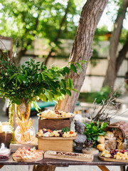 Decorated buffet at an outdoor party. Banquet with appetizers: cheese slices, prosciutto, zamon, grapes, bread sticks, fresh bread. Laurel branches in a vase, sculptures.