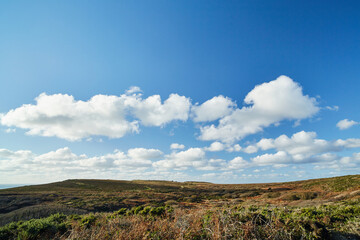 Cornwall, UK - typical landscape with hills, bushes and stone walls near Porthcurno