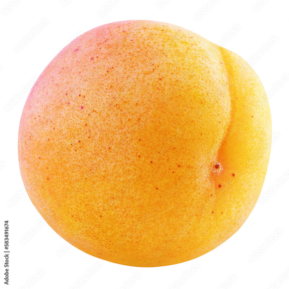 Wall mural single whole apricot or yellow plum fruit isolated on transparent background. full depth of field. - Wall murals
