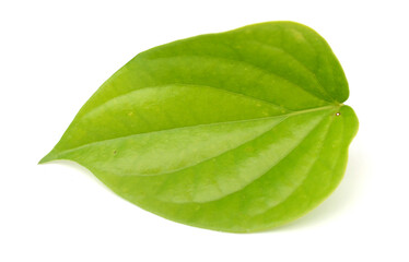Fototapeta na wymiar Betel leaf isolated on white background