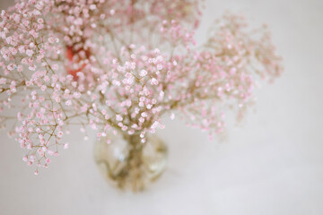Soft blur focus bouquet of pale pink gypsophila flowers on a blurred white background.
