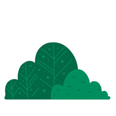 Grass Illustration