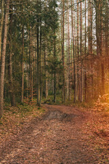 water puddles on the grass. gravel and clay can not absorb rainwater.