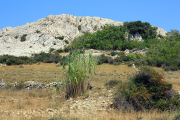 Wilderness of Pag Island, Croatia
