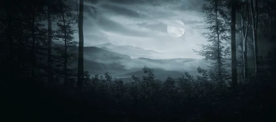Keuken foto achterwand Fantasie landschap dark fantasy forest landscape at night with moon and clouds in the sky