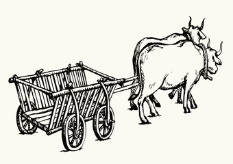Empty cart drawn by oxen. Vector drawing © Marina