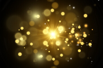 	
Brilliant gold dust vector shine. Glittering shiny ornaments for background. Vector illustration.
