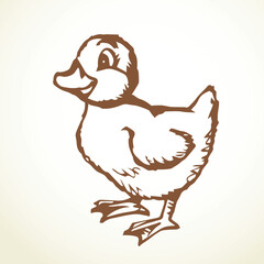 Cute duckling. Vector outline drawing