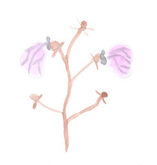 Butterflies on a flower, nature. Watercolor, art decoration, sketch. Illustration hand drawn modern