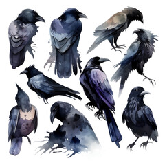Watercolor Black Ravens, Set of Illustrations Isolated on transparent - Gothic Witchcraft Artwork created with Generative AI technology - 583503253