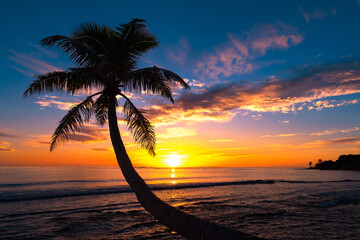 Beautiful Sunset on a Hawaiin beach with palm trees - obrazy, fototapety, plakaty
