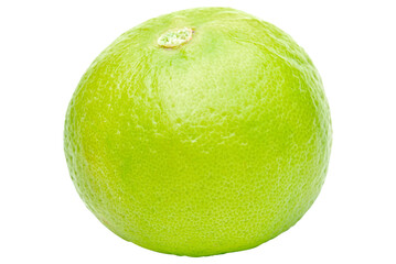 Cutout fresh green lime on white background.