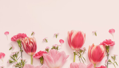 beautiful spring flowers on white  background