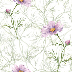 Floral watercolor seamless pattern with colorful cosmea flowers, hand painted illustration summer meadow