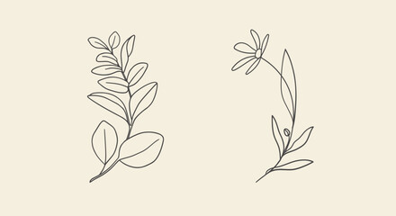 Eucalyptus Leaves and flower on yellow background. Floral line art. Outline vector flowers. Wedding elegant continuous line drawing.