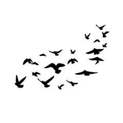 Flock of  Birds flying, black colour illustration with transparent background