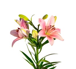 bouquet of lilies