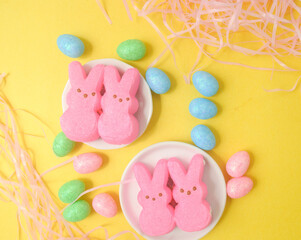 easter bunny candy  and eggs in a yellow background 