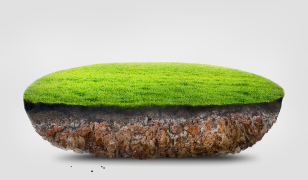 green grass cross section of field and soil on white background, 3D illustration