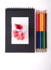 Sketch pad with colored pencils isolated