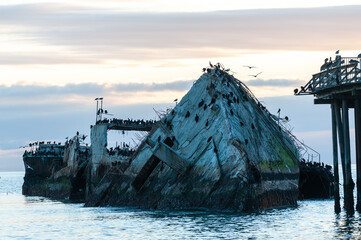 Close-up of the SS Palo Alto, an old World War II shipwreck around sunset, off the coast of Aptos,...
