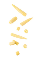 Falling Baby corn cutout, Png file.