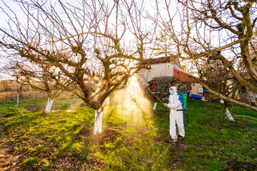 Gardener wearing protective overall sprinkles fruit trees with long sprayer, apiary is in the orchard