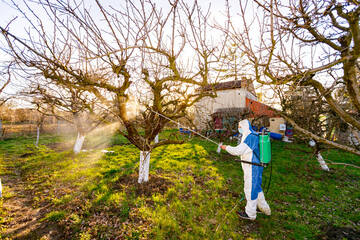 Gardener wearing protective overall sprinkles fruit trees with long sprayer, apiary is in the orchard