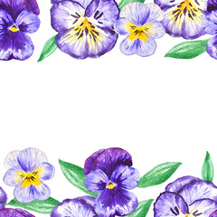 Pansy flowers seamless frame for decor, invitations floral nature illustration