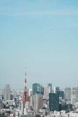 Fototapeta premium 【縦写真】東京タワー