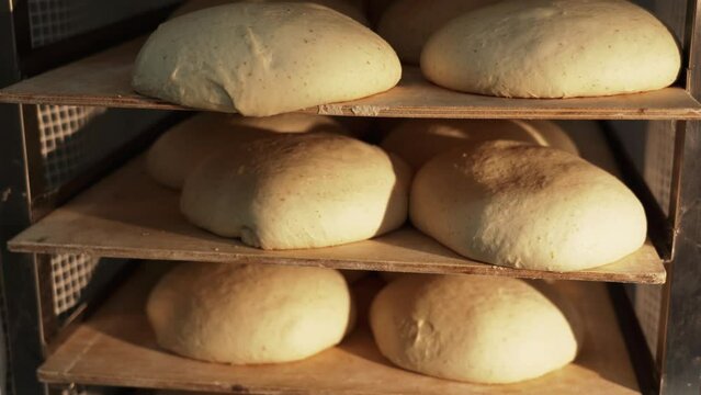 Manufacturing process of  bread. Food industry concept