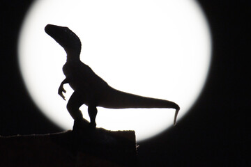 velociraptor in shadows by moon