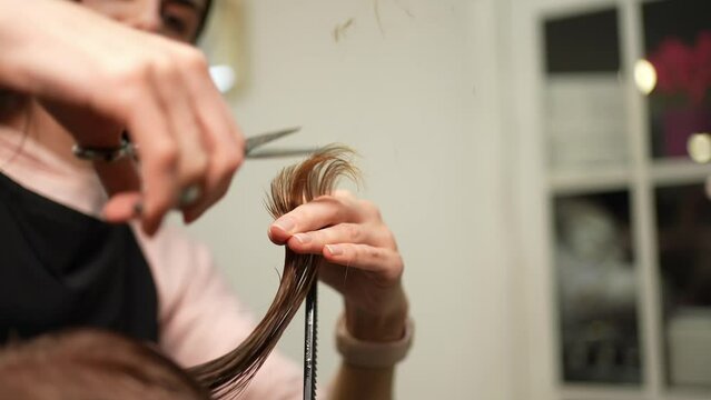 The hairdresser cuts the length of the hair with scissors