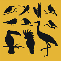 silhouettes of birds