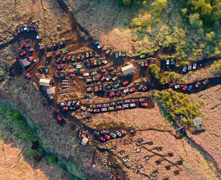 Geep crabs on the mountain