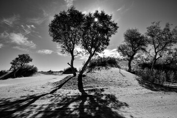 Explore the village of Lop Nur people in Xinjiang