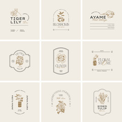 Vintage Flower logo template illustration for branding