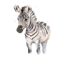 Obraz na płótnie Canvas watercolor baby Zebra isolated on transparent, ai generated