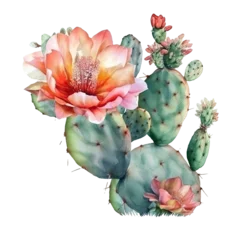 Foto op Canvas cactus and flowers, watercolor transparent, ai generated © dasom