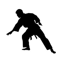 karate, judo, kung fu, kempo, ikido, jiu jitsu, box, taekwondo, kendo, silhouette, sport, vector, black, illustration, player, people, run, running, body, sports, ball, soccer, generative ai