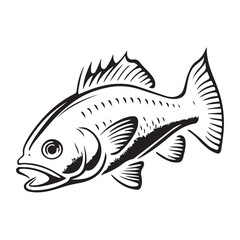 black and white fish