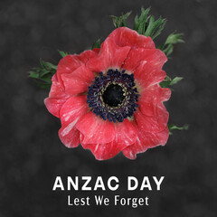 Anzac day illustration, card, poster, background - 583558645