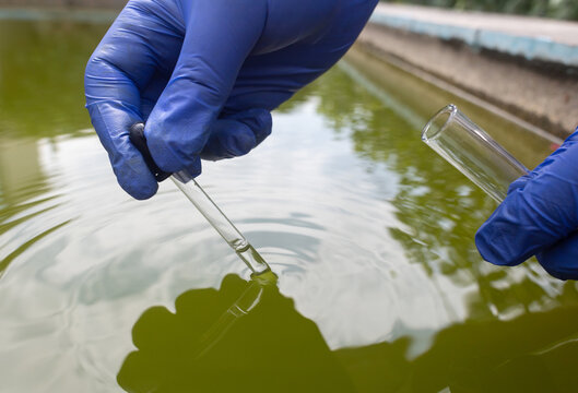 Water sample. Treatment facilities. Quality control of water that has been purified and processed. The laboratory assistant collects material for research. Liquid in a test tube. Sewage treatment